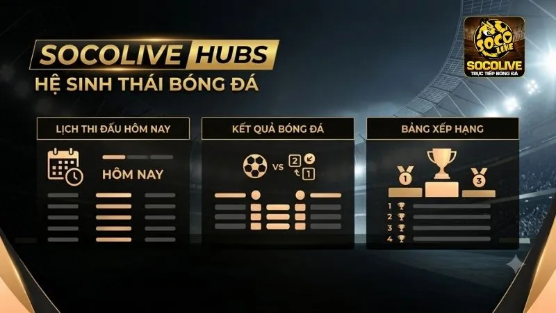 Hệ sinh thái nội dung bóng đá phong phú tại Socolive TV